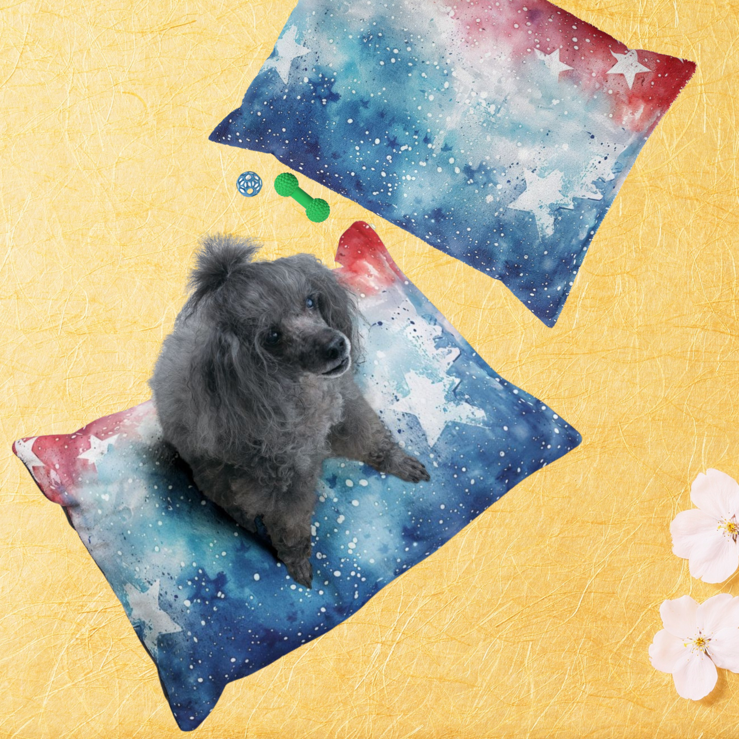 Pet Accessories